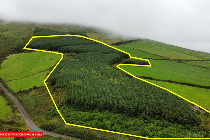 Lougher, Anascaul, Co. Kerry