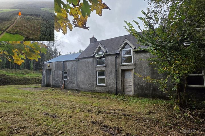 Haremount, Kilmichael, Kilmichael, Co. Cork, P12H599
