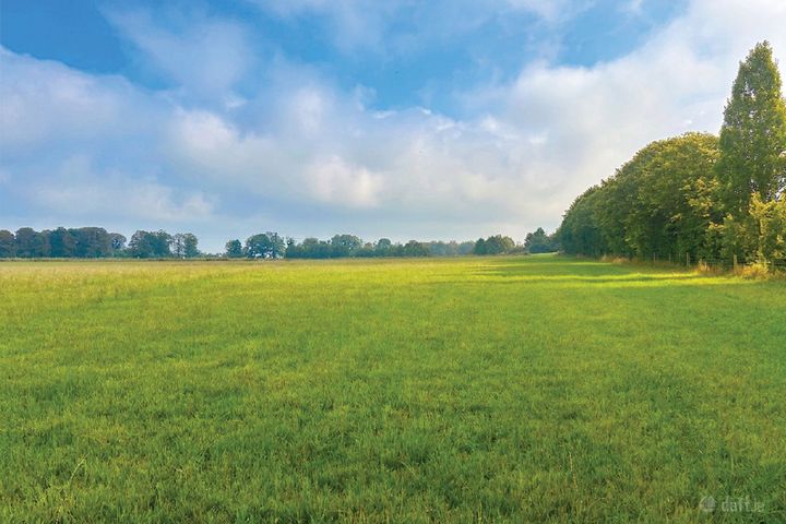c. 16 Acres, Moorhill, Brannockstown, Naas, Co. Kildare