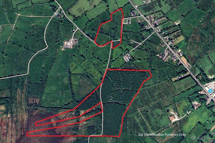 Lands at Corrabawn, Drumlish, Co. Longford
