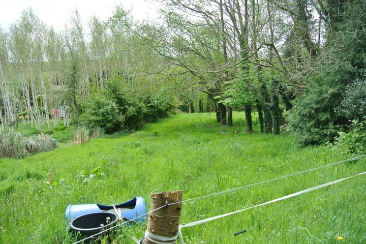 Castletreasure, Douglas, Rathmacullig, Co. Cork, T12TDC9 - Photo 2