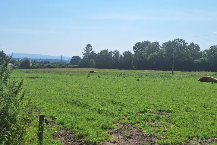 .75 Acre Site, Kilcarrig,, Bagenalstown,, Co. Carlow