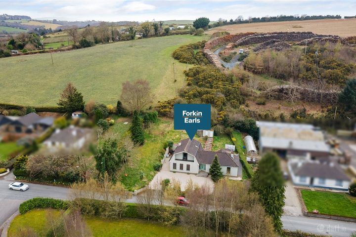 The Ferns, 2 Barnabawn Road, Glenealy, Co. Wicklow, A67CD34