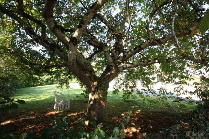 Cornamagh, Athlone, Co. Westmeath, Athlone, Co. Westmeath