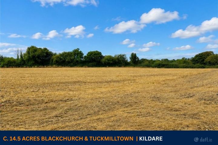 c. 14.5 Acres, Blackchurch & Tuckmilltown, Kill, Co. Kildare
