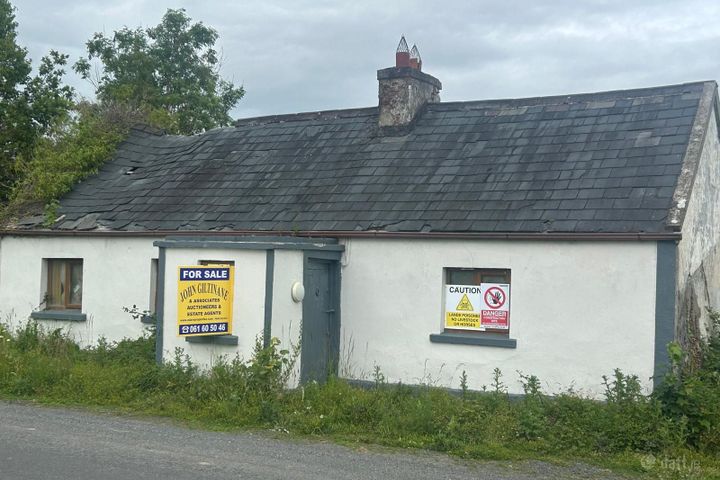 Granagh, Kilmallock, Ballinleeny, Co. Limerick, V35W582