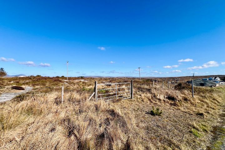 Bealadangan, Co Galway