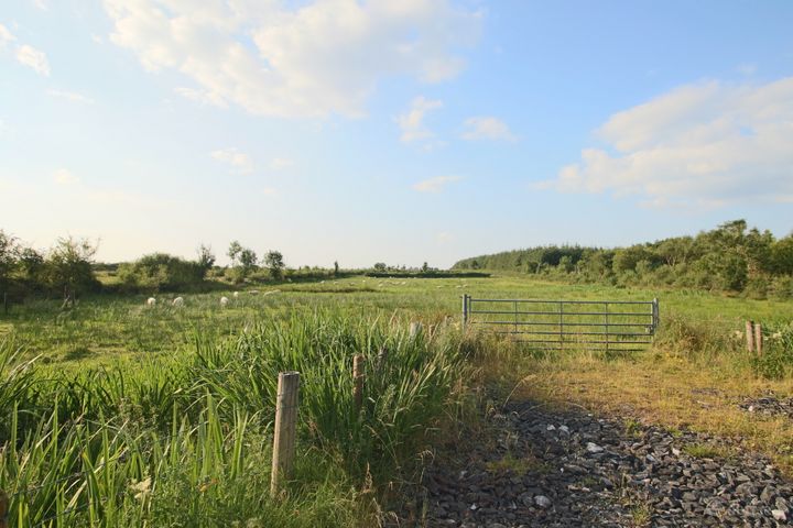 Tartan, Ballinameen, Co. Roscommon
