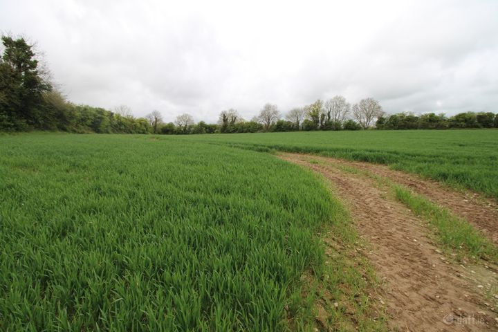 Rochestown, Slane, Co. Meath