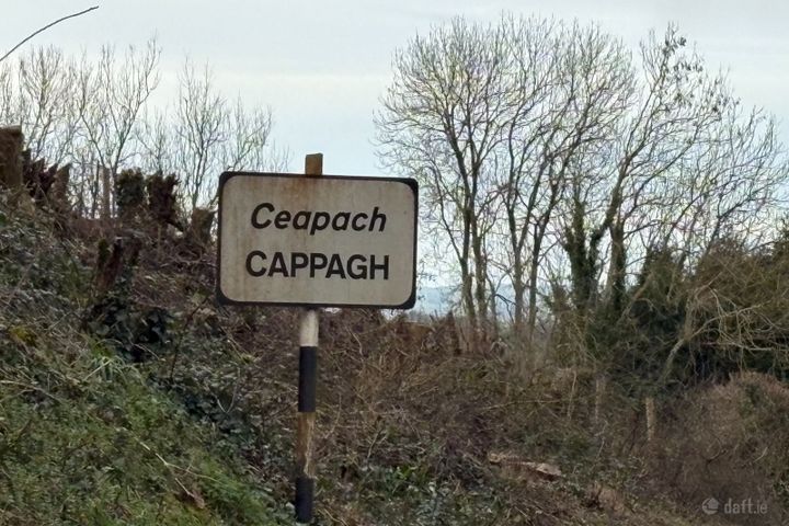 Ballyhomock, Cappagh, Co. Limerick - Photo 2