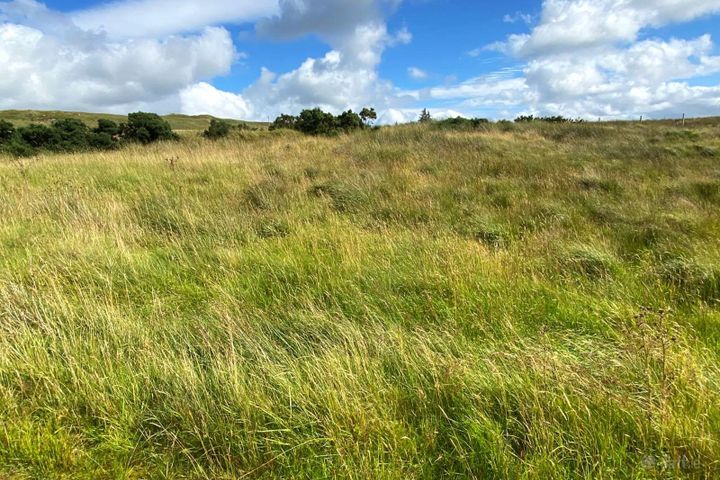 Carrickmahon, Altnapaste, Altnapaste, Co. Donegal