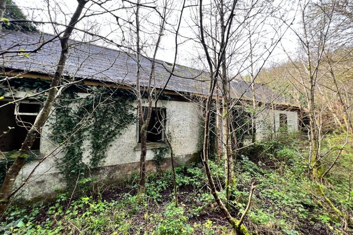 Mullaghycullen, N41DY29