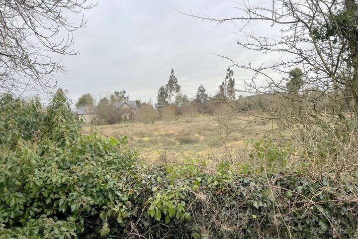 Glannagh, Ballinalee, Co. Longford, N39TF89