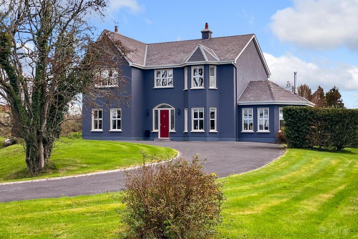 Monivea Demesne, Monivea, Co. Galway, H65X682