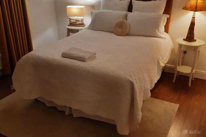 Demesne Lane, Longford