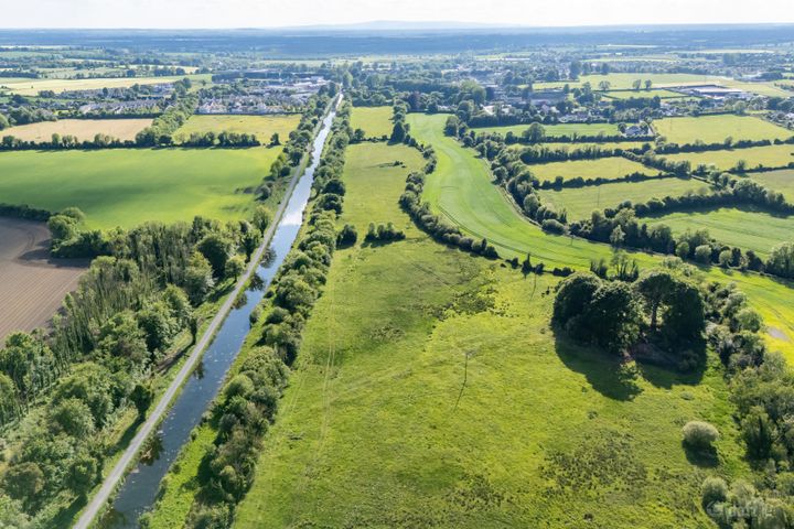 42.406 Acres / 17.16 Hectares, Sallymills, Rathangan, Co. Kildare