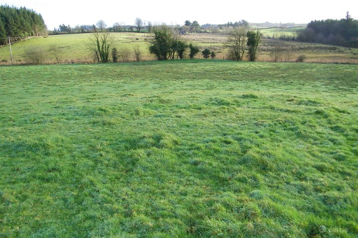 Tully, Loughglynn, Castlerea, Co. Roscommon, F45P718