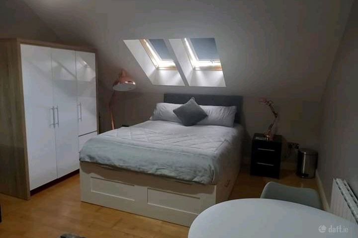 Dromsally Woods,Cappamore,Limerick, Cappamore, Co. Limerick