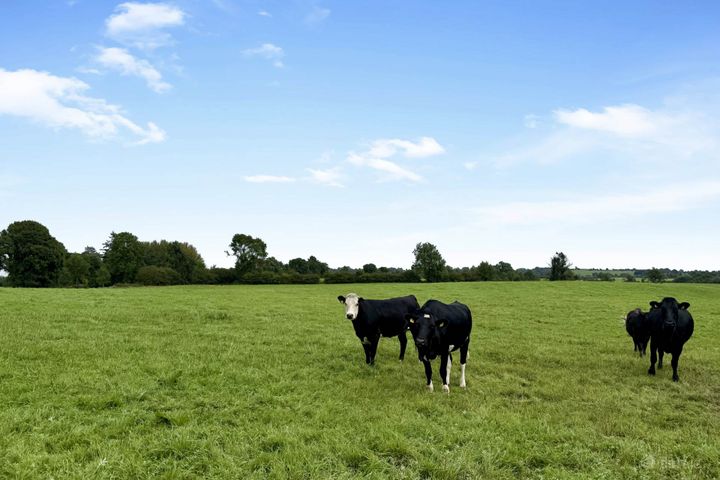 Kilgawny(Lot 4 C. 31.721 Acres Of Mature Forestry), Rathconrath, Co. Westmeath