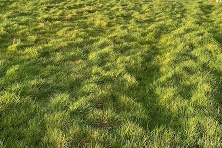 Creevard, Irishtown, Co. Mayo