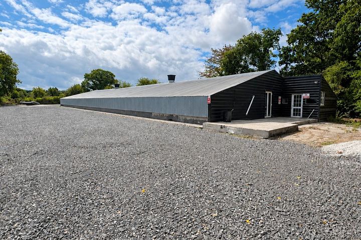 Rossline, Dromcollogher, Dromcolliher, Co. Limerick