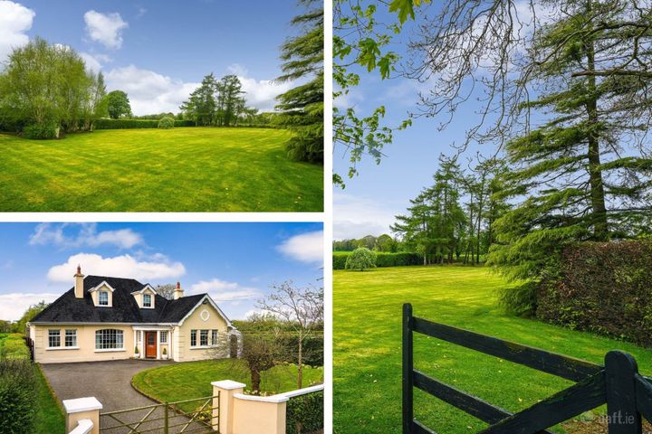 Clonmore, Kildalkey, Co. Meath, C15VW88
