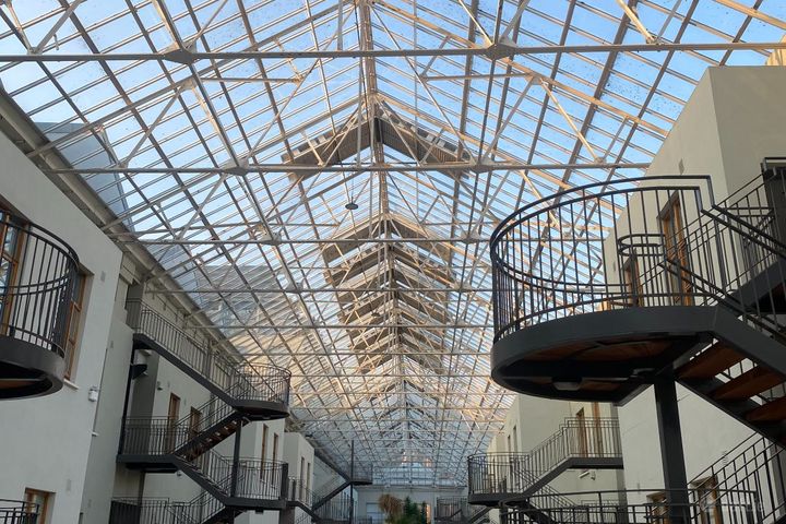 The Pine, Winter Garden, Pearse Str, Grand Canal Dock, Dublin 2