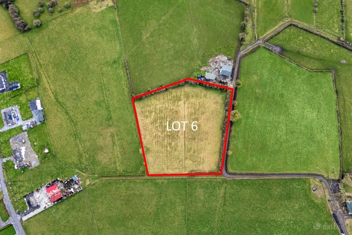 Lot 6 (c. 3.75 Acres), Lemanaghan, Ballycumber, Co. Offaly