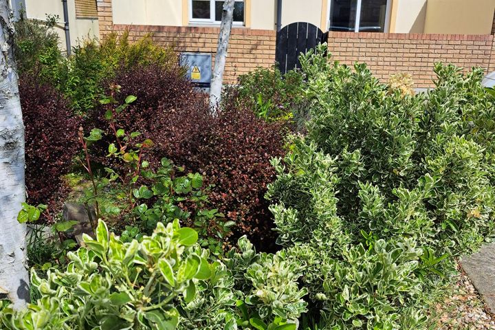 Station Court The Avenue Gorey, Gorey, Co. Wexford