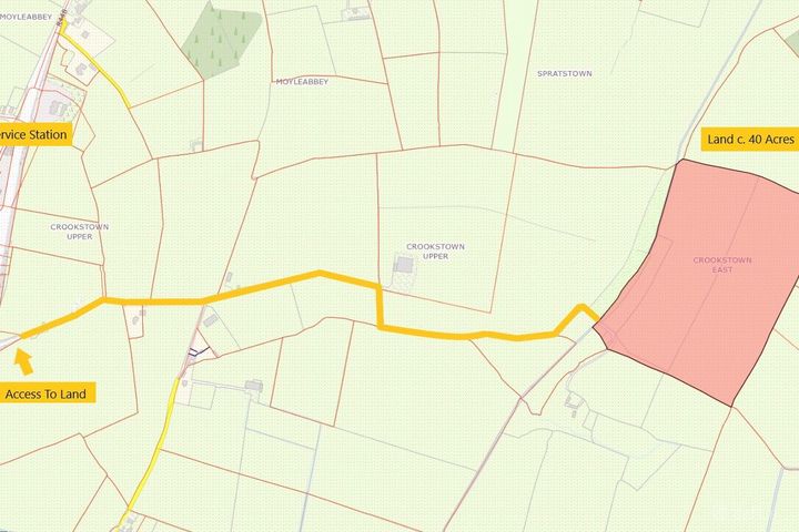 Land C. 40.75 Acres, Crookstown East, Ballitore, Co. Kildare - View 3
