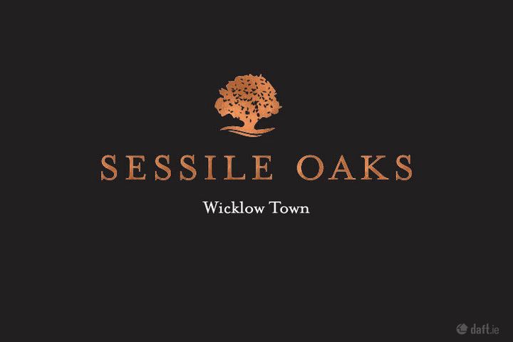 Sessile Oaks, Wicklow Town, Co. Wicklow