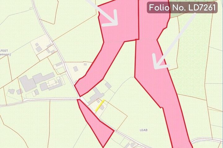 Leab, Elfeet (Burke), Newtowncashel, Co. Longford