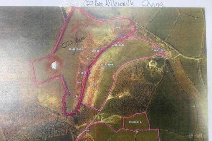 Killavorillia Conna, Mallow, Co. Cork