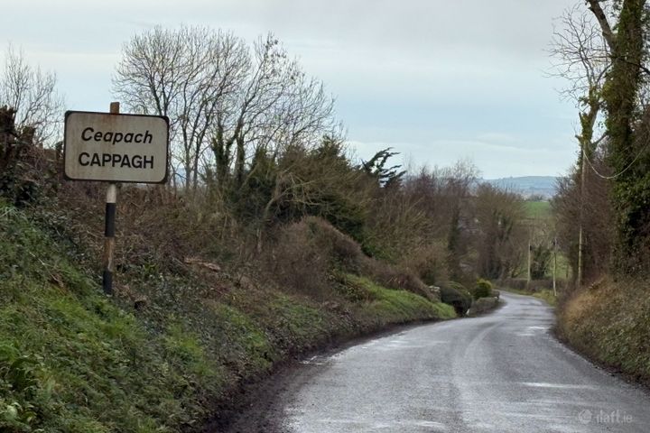 Ballyhomock, Cappagh, Co. Limerick