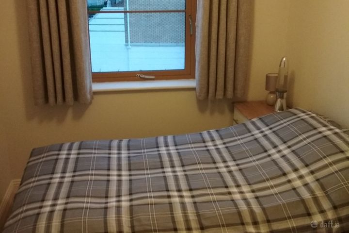 Stocking Well Wood, Rathfarnham, Dublin 14