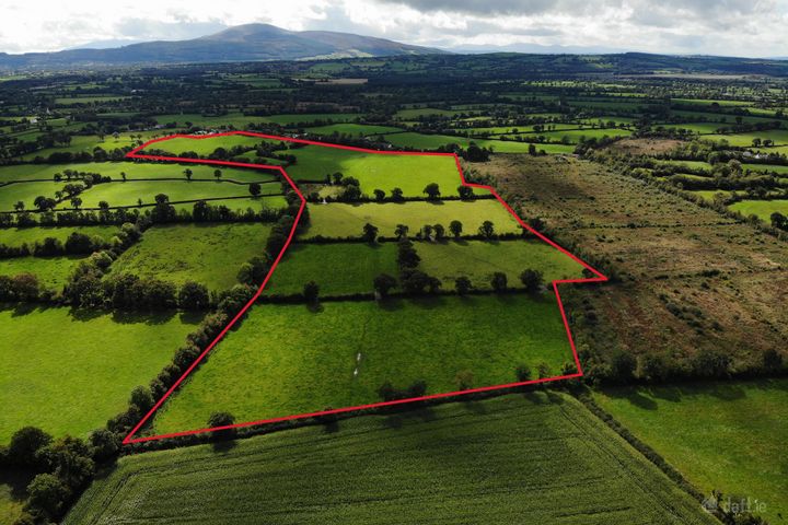 Lismolin, Mullinahone, Co. Tipperary