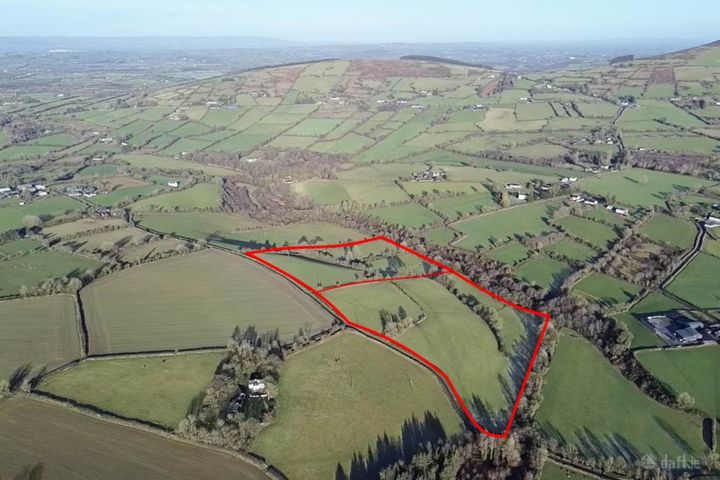 Rosdellig (C. 20 Acres), Borris, Co. Carlow