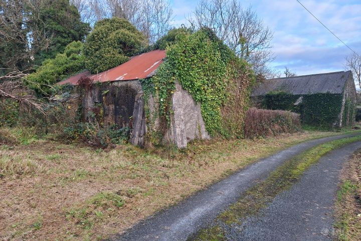 Knock, Knock, Co. Mayo