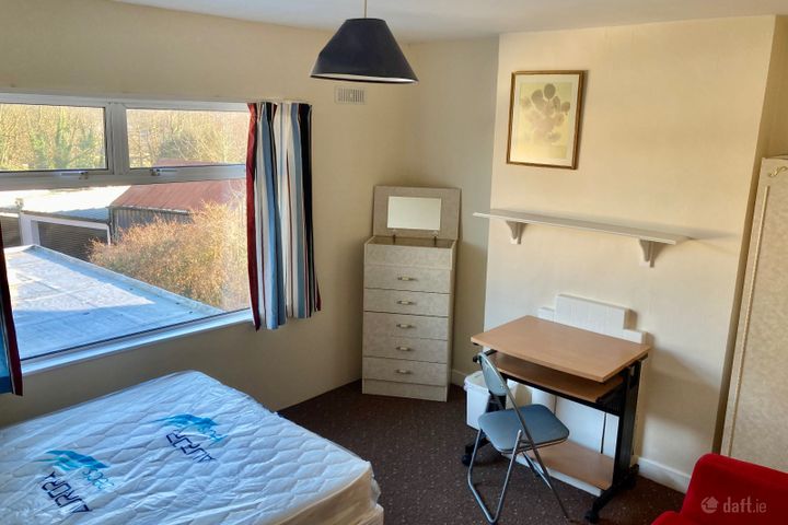 South Circular Road, Limerick, Ballycummin, Co. Limerick