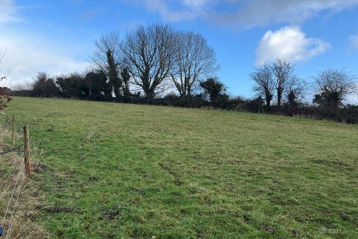 Templemichael, Caherconlish, Boher, Co. Limerick