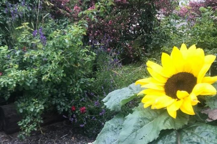 Short Term Accommodation Maynooth Kilcloon , Kilcloon, Co. Meath