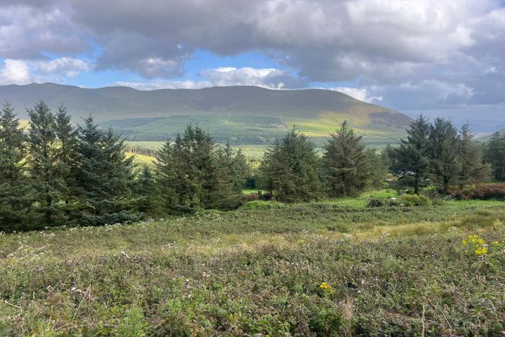Lougher, Anascaul, Co. Kerry