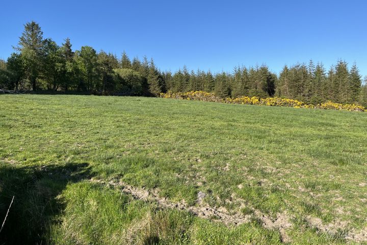 Commons East, Woodford, Co. Galway