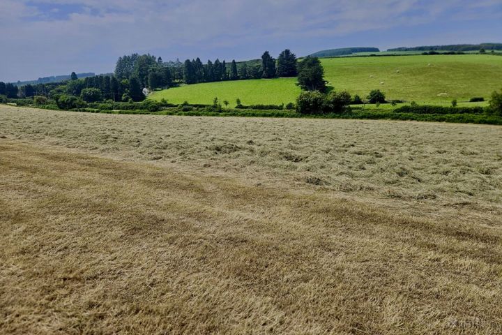 long road, Rathdrum, Co. Wicklow
