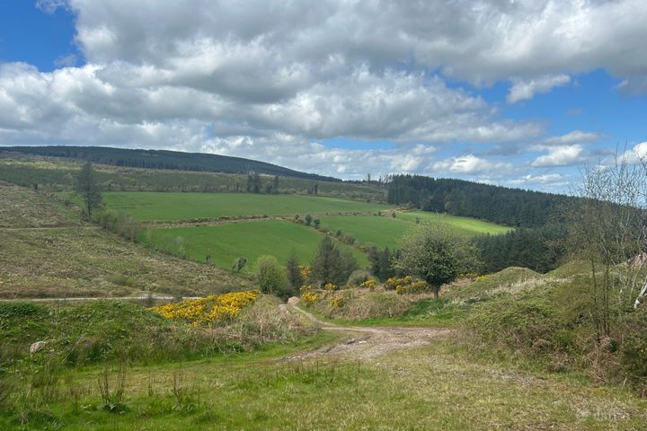 51.6 Acre Residential Holding, Knockwatear, Killavullen, Co. Cork, P51E0E4