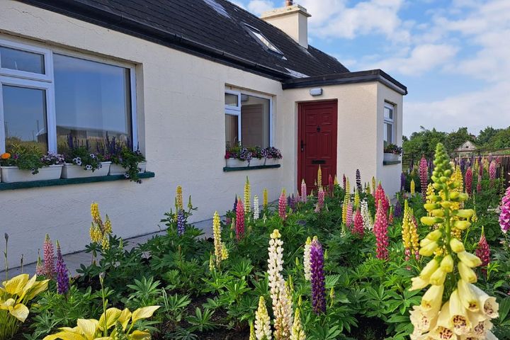 Castlecole, Ballinagare, Co. Roscommon