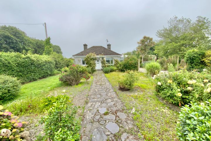 Pride O'Morn, Bogland, Clogga, Co. Wicklow, Y14F251