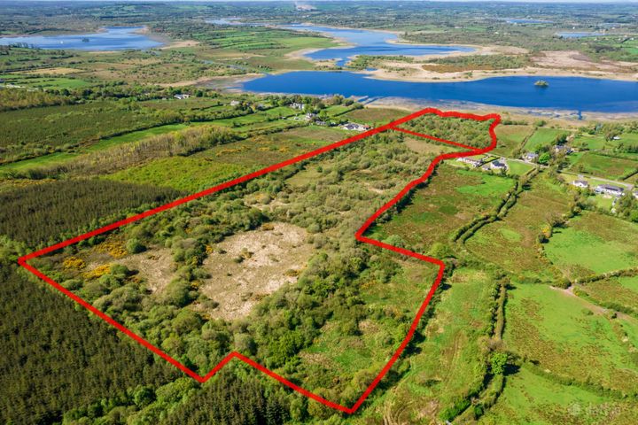 Land For Sale, Carrigeen and Kilgarve, Co. Roscommon