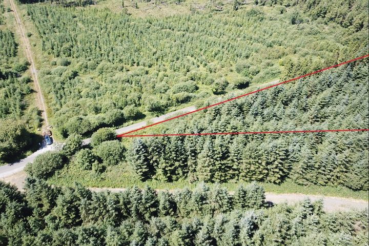 Forestry Land At Smithstown, Mullinavat, Co. Kilkenny