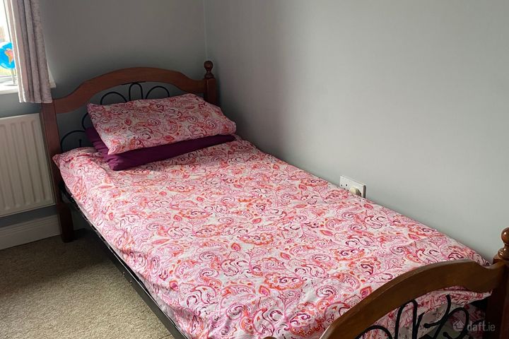 Curragh Birin,Castletroy,Limerick, Singland, Co. Limerick